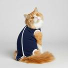 Roupa pós cirurgica castração com zíper para gato