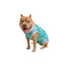 Roupa Pós Cirúrgica Para Cachorro UV Macho Azul Cachorrinho