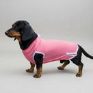 Roupa Pos Cirúrgica Para Castração com tiras autocolantes Para Cachorros