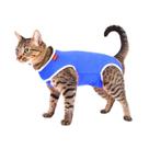 Roupa Pós Cirúrgica Para Gatos - Confort Pet