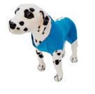 Roupa pós cirúrgica Pet para cães pós cirúrgica Tam. grande 07