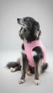Roupa Pós Cirúrgica Pet - Proteção para Cura