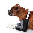 Roupa Protetora Cotoveleira Higroma Para Cães Pet Med - N 03