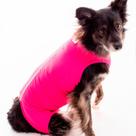 Roupa Protetora e Pós-Cirúrgica Para Machos e Fêmeas Pet Freedom Tamanho 0