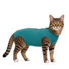 Roupa Protetora Para Castração de Gato Roupa Protetora Para Castração de Gato