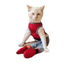 Roupa Protetora Para Gato Paraplégico Roupa Protetora Para Gato Paraplégico