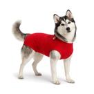 Roupa Protetora Pós Cirúrgica Para Cachorro Castração de Macho e Fêmea e Cirurgias Abdominais Roupa Protetora Pós Cirúrgica Para Cachorro Castração de Macho e Fêmea e Cirurgias Abdominais