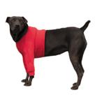 Roupa Protetora Pós-Cirúrgica Para Peito e Membros Anteriores de Cães Roupa Protetora Pós-Cirúrgica Para Peito e Membros Anteriores de Cães