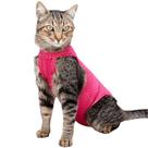 Roupinha Para Gatos Pet Dry Fit Protection&Sports UV50+ N02