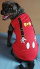 Roupinha pet Mickey