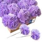 Royal Imports cravos artificiais, flores artificiais de seda, para arranjos funerários, buquês de casamento, coroas de cemitérios, artesanato de bricolage 100 caules individuais de 5 polegadas Lavanda