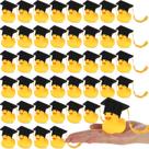 Rubber Ducks Jerify Graduation 2024 com boné Grad 48 unidades+3 anos Rubber Ducks Jerify Graduation 2024 com boné Grad 48 unidades+3 anos