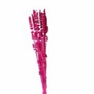 Rubi Pink Desidratado