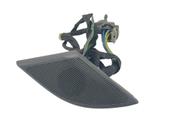S0363 Moldura Auto Falante Porta Dianteira Direita Gm Captiva 2008 2009 2010 2011 2012 Original