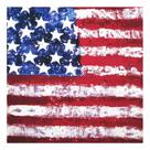 S0412-Lenço Bandana Luxo Estados Unidos Combinação Bandeira 4o2404