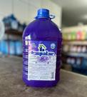 Sabão liquido para roupas 5lt violeta baby Sabão liquido para roupas 5lt violeta baby