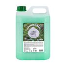 Sabonete Espuma Deoline Erva Doce Suave 5L Premisse