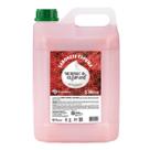 Sabonete Espuma Morango e Champagne 5l Premisse Sabonete Espuma Morango e Champagne 5l Premisse