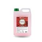 Sabonete Espuma Premisse 5L Morango e Champanhe C/ 4Unidades