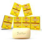 Sabonete Grisi Enxofre 10% Acne 125g Kit com 6 Unidades