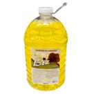 sabonete liqido liz 5 lt ERVA DOCE