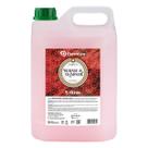 Sabonete liquido 05 litros morango/champang premis