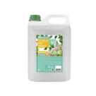 Sabonete Liquido 5L Premisse Chá Branco Galão Glicerinado Mãos Corpo Sabonete Liquido 5L Premisse Chá Branco Galão Glicerinado Mãos Corpo