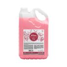 Sabonete Líquido All Clean 5L Galão Cremoso Rosa Flores e Frutas pH Neutro Hidratante Mãos