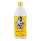 Sabonete Líquido Antibacteriano Aseptol Proteção Natural Ação Antisséptica e Antifúngica 1000ml - 1 Litro Fattore