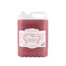 Sabonete Liquido Botanic Morango com Champagne 5 Litros