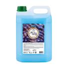 Sabonete Líquido Deoline 5L Mix de Frutas Galão Mãos Corpo pH Equilibrado Premisse Profissional