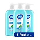 Sabonete líquido Dial Refresh & Renew Spring Water 680 ml (pacote com 3) Sabonete líquido Dial Refresh & Renew Spring Water 680 ml (pacote com 3)