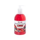 Sabonete Líquido Dismapp 500ml com Válvula - Frutas Vermelhas