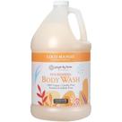 Sabonete líquido Ginger Lily Farms Nourishing Coco Mango, refil de 3,8 L Sabonete líquido Ginger Lily Farms Nourishing Coco Mango, refil de 3,8 L