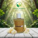 Sabonete Líquido Nutritivo de Breu Branco: Limpeza Purificante e Ritual de Relaxamento Sabonete Líquido Nutritivo de Breu Branco: Limpeza Purificante e Ritual de Relaxamento