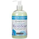 Sabonete líquido para mãos Ginger Lily Farms Botanicals Island 360ml Sabonete líquido para mãos Ginger Lily Farms Botanicals Island 360ml