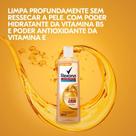 Sabonete Líquido Para o Corpo Rexona Antibacterial Multivitaminas 250ml Sabonete Líquido Para o Corpo Rexona Antibacterial Multivitaminas 250ml