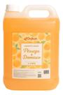 Sabonete Liquido Pessego E Damasco Drykon 5l Sabonete Liquido Pessego E Damasco Drykon 5l