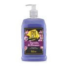 Sabonete Líquido Premisse 1L Pump Segredos de Romance Roxo pH Neutro Mãos Rosto Corpo Hidratante
