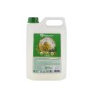 Sabonete Líquido Premisse 5L Erva Doce Soft Galão Branco Perolado Mãos Corpo Atacado Sabonete Líquido Premisse 5L Erva Doce Soft Galão Branco Perolado Mãos Corpo Atacado