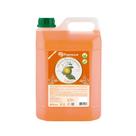 Sabonete Líquido Premisse 5L Flor Laranjeira Neutraliza Odor Cozinha Alho Peixe Galão Sabonete Líquido Premisse 5L Flor Laranjeira Neutraliza Odor Cozinha Alho Peixe Galão