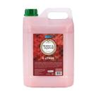 Sabonete liquido premium morango/champagne - 5 litros