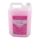 Sabonete Líquido Soap Antisséptico Triclosan 5 Litros