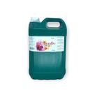 Sabonete liquido wash morango chantily galao 5l climpa