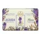 Sabonete Nesti Dante Dei Colli Fiorentini Lavanda Barra 250g Sabonete Nesti Dante Dei Colli Fiorentini Lavanda Barra 250g