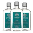 Sabonete para cabelo e corpo Stetson All Over Personal Care 480 ml, pacote com 3