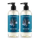 Sabonete para lavagem de mãos Caldrea Basil Blue Sage 320ml, pacote com 2