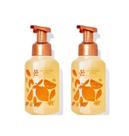 Sabonete para mãos Bath & Body Works, lavado ao sol, citrinos, 500 ml, pacote com 2 unidades Sabonete para mãos Bath & Body Works, lavado ao sol, citrinos, 500 ml, pacote com 2 unidades