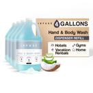 Sabonete para mãos e sabonete corporal Terra Pure Infuse de 1 galão (conjunto de 4)