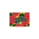 Sabonete phebo geranio bourbon 100g